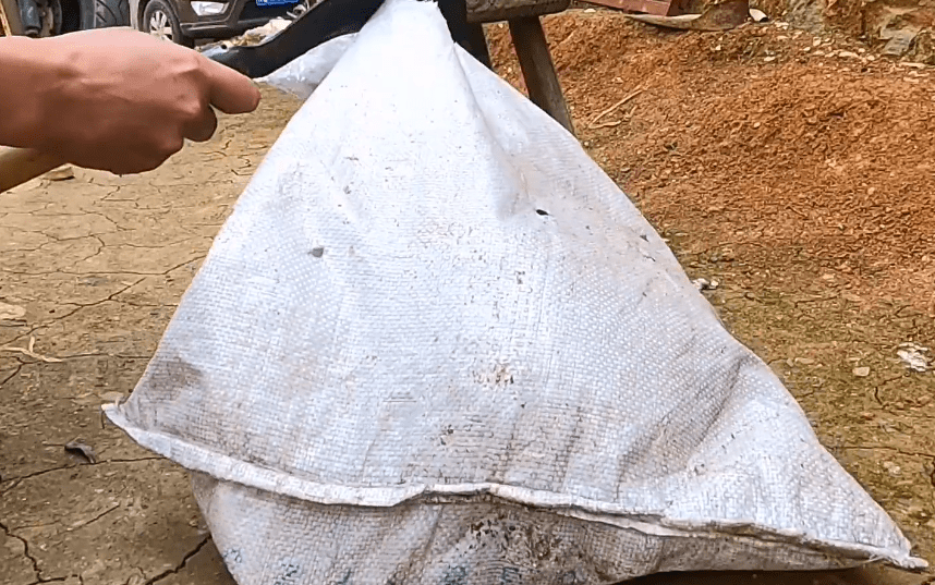 小哥500捡漏卖到一只虎斑犬，转眼就有人愿花800买它，可网友对它却满是争议