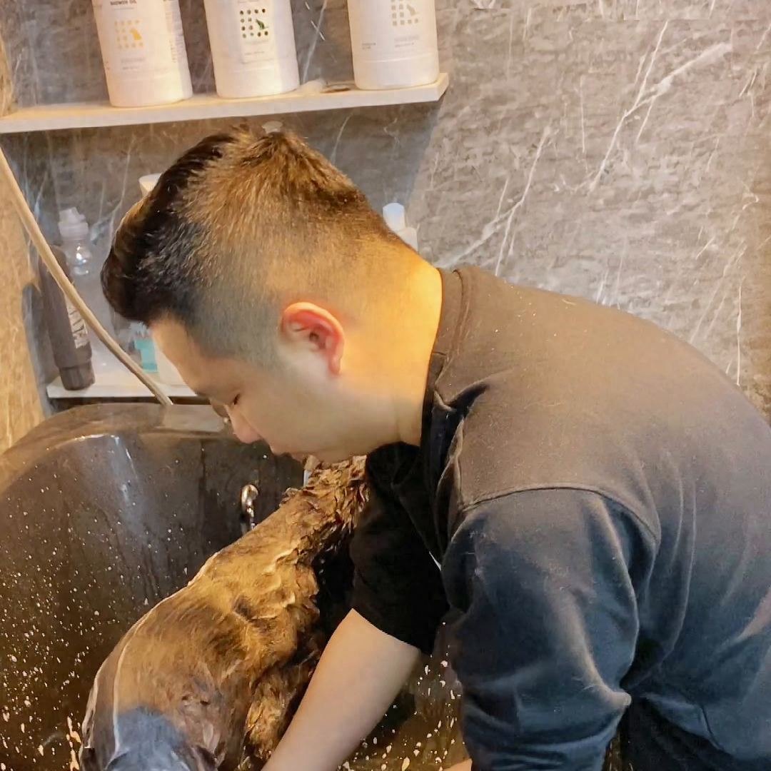 狗狗洗澡正确方法视频_狗狗洗澡正确方法图片_狗狗洗澡的正确方法