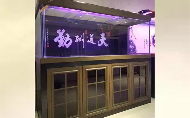 观赏鱼缸养鱼好不好_观赏鱼缸养鱼好吗_鱼缸最好养的观赏鱼
