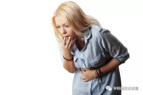 狗狗怀孕吃什么有营养_狗狗怀孕吃些什么营养品_狗狗怀孕吃什么有营养饭