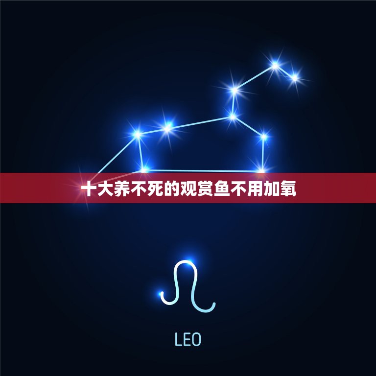 十大养不死的观赏鱼不用加氧，不需要加氧适合养什么鱼？