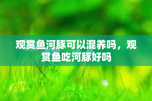 观赏鱼河豚可以混养吗，观赏鱼吃河豚好吗