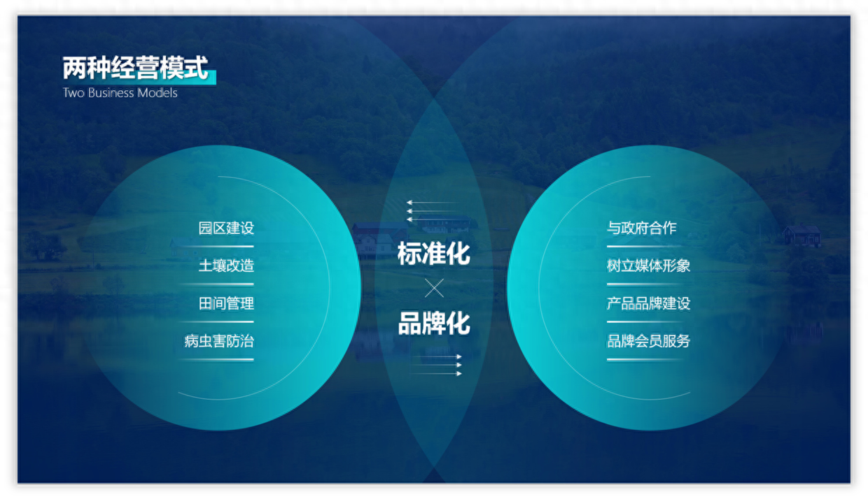 word如何横向排版_横向排版怎么变成纵向_横向排版怎么转为竖向