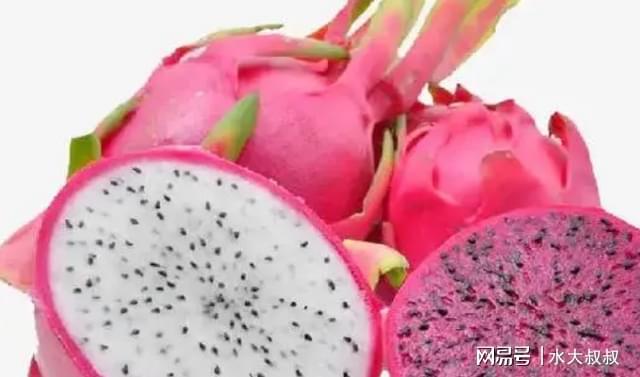火龙果不能随便吃？医生提醒：这5类人或要少食用，不妨了解