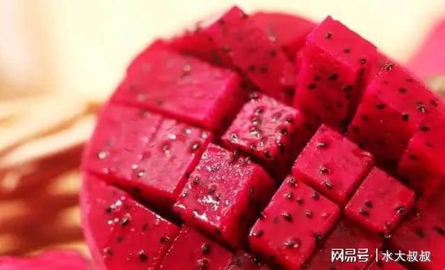 狗可以吃火龙果吗_狗可以吃火龙果的功效与作用_果狗吃火龙可以驱虫吗