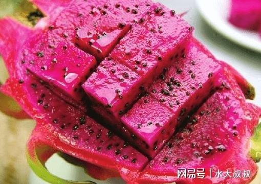 果狗吃火龙可以驱虫吗_狗可以吃火龙果吗_狗可以吃火龙果的功效与作用