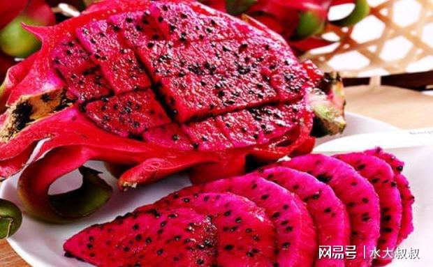 狗可以吃火龙果吗_狗可以吃火龙果的功效与作用_果狗吃火龙可以驱虫吗