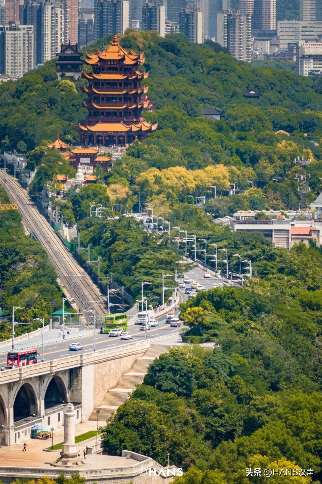 狗狗可以吃西梅吗_狗狗可以吃梅片吗_狗吃可不可以吃西梅