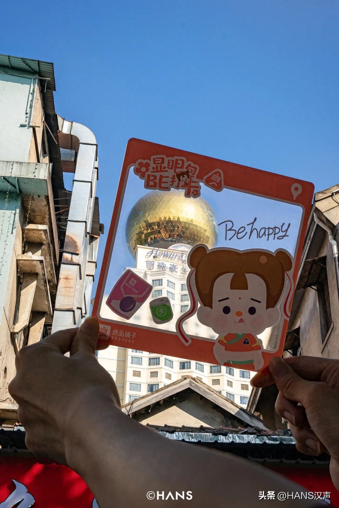 狗狗可以吃梅片吗_狗狗可以吃西梅吗_狗吃可不可以吃西梅