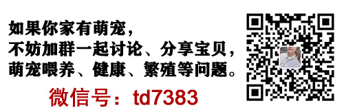 给狗打一针狂犬疫苗多少钱？