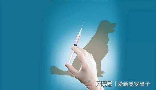 给狗打疫苗多少钱狂犬_给狗狗打狂犬疫苗多少钱_狗狗打的狂犬疫苗价格