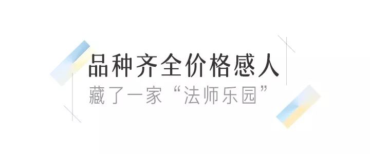 八尺镜多肉_八尺镜多肉_八尺镜多肉