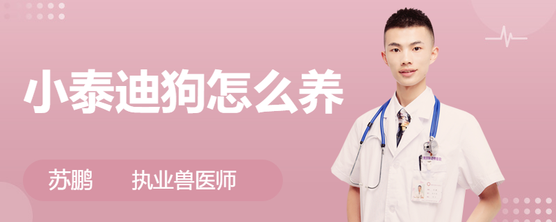 小狗喂养断奶要多久_小狗断奶怎么喂食_刚断奶的小狗怎么喂养