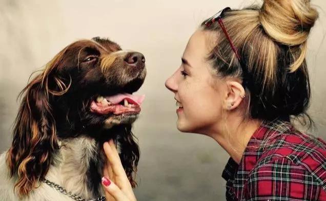 狗狗听得懂人说话吗？它并不能理解真正意思