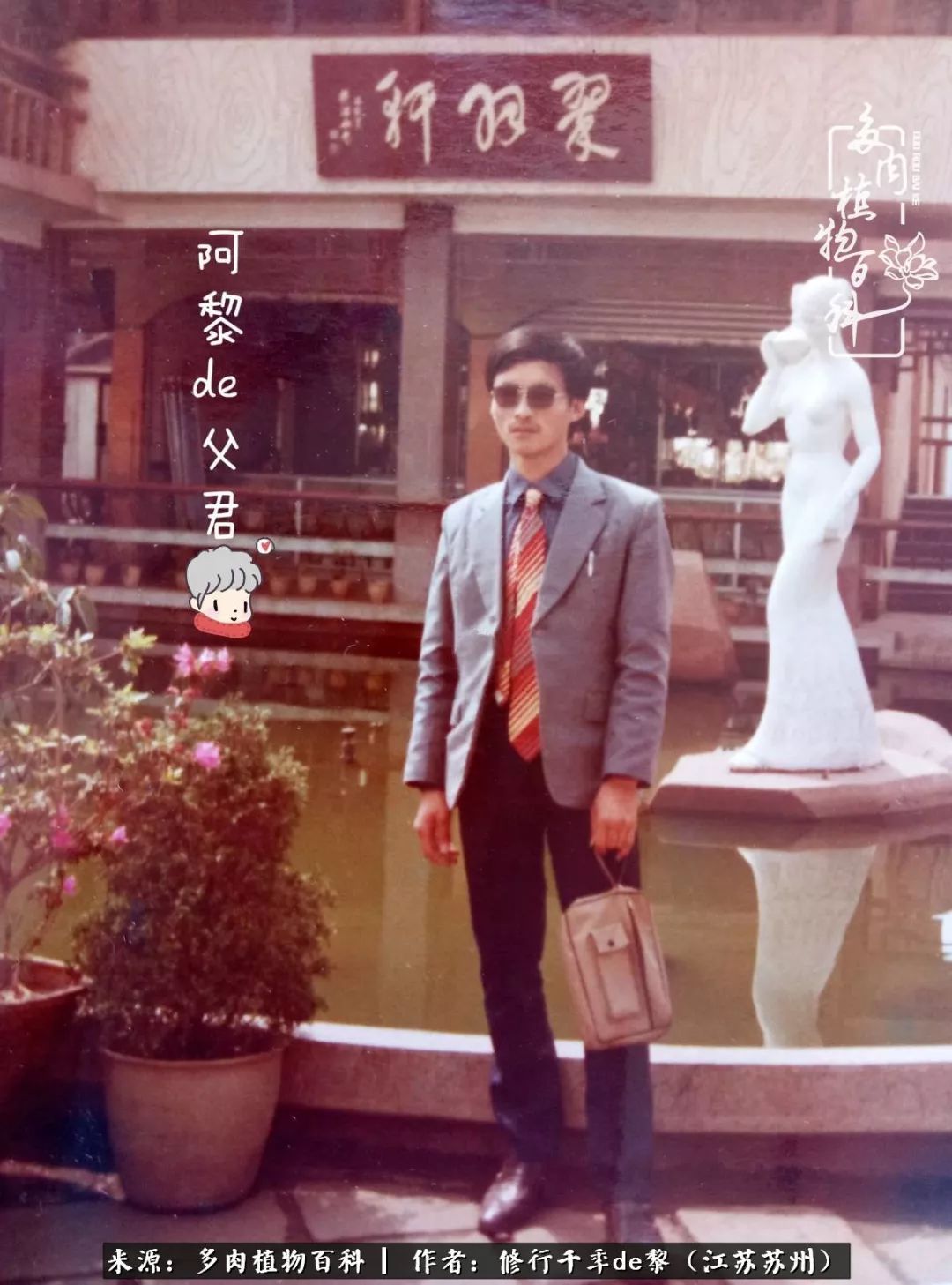 多肉暗冰贵吗_暗冰多肉怎么养_多肉暗冰怎么养