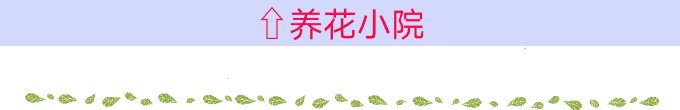 多肉黑法师好养吗_多肉黑法师的价格_多肉黑法师多少钱一盆