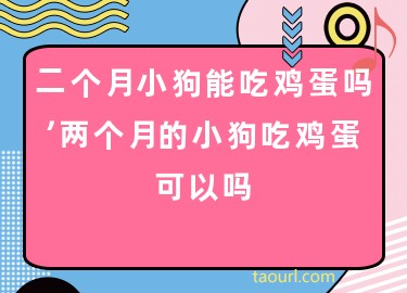 蛋黄狗狗可以吃吗_狗可以吃蛋黄吗_蛋黄狗吃可以补钙吗