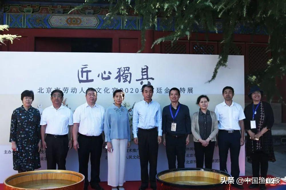 十二省市匠心荟聚，上千尾金鱼争妍斗奇