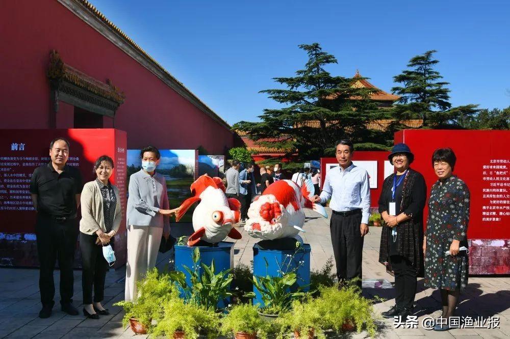 观赏鱼诊所_观赏鱼场_观赏鱼医院