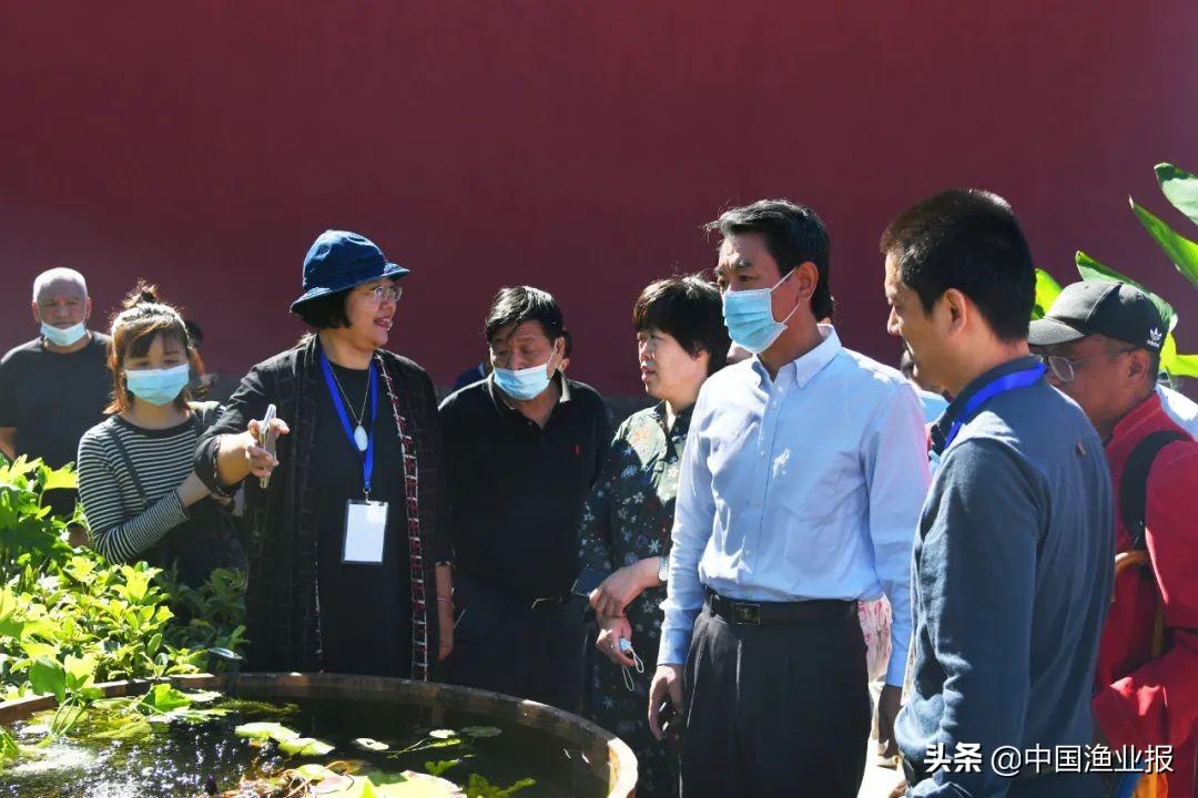 观赏鱼医院_观赏鱼场_观赏鱼诊所