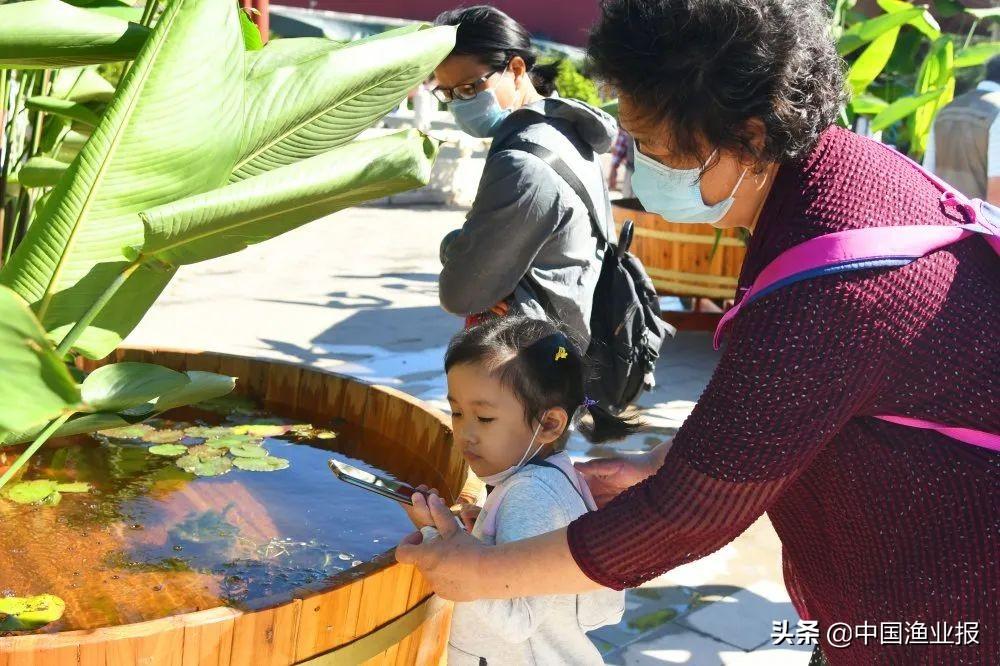 观赏鱼诊所_观赏鱼医院_观赏鱼场
