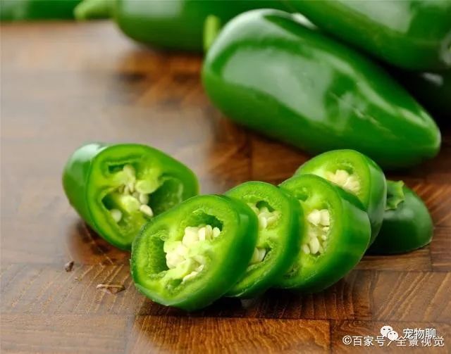 狗狗蔬菜吃可以补钙吗_狗狗吃蔬菜水果吗_狗狗可以吃什么蔬菜