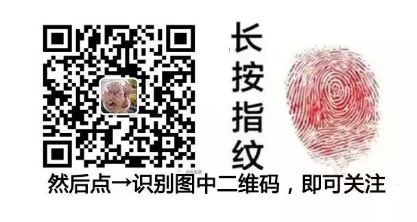 植物多肉大概多长时间浇一次水_多肉植物 大_植物多肉大全图片