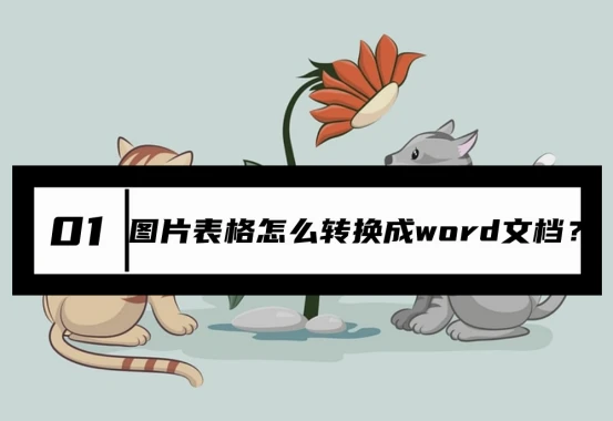 图片表格怎么转换成word文档？教你转换的4个技巧
