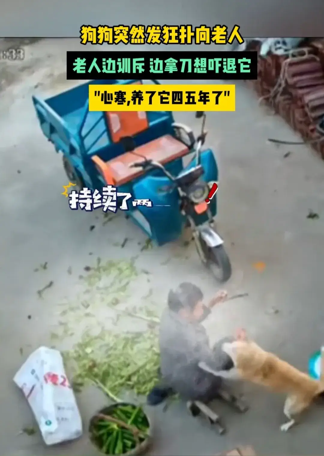 养狗有年龄限制吗_养狗年审_和养的狗做了几年
