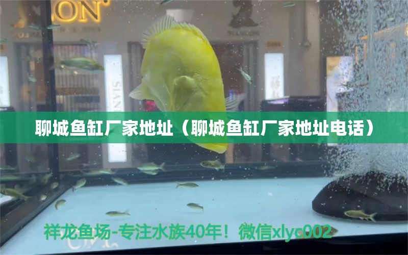 聊城鱼缸厂家地址（聊城鱼缸厂家地址电话）