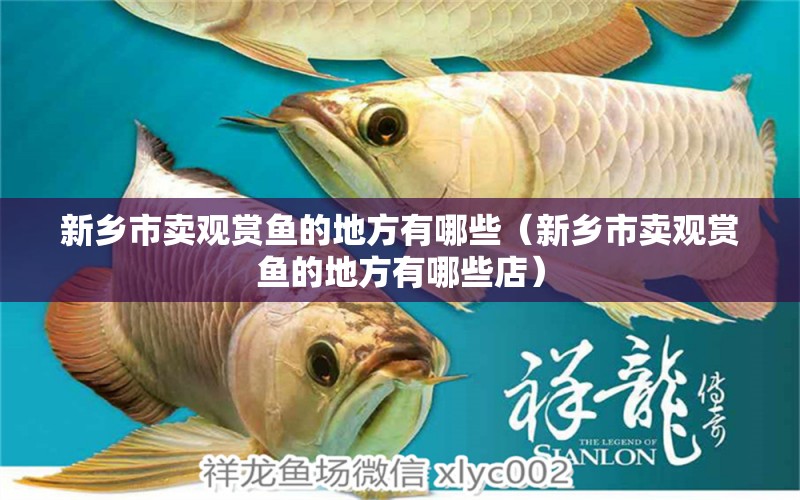 观赏鱼鸭嘴兽_观赏鱼鸭嘴虎斑鱼吃食视频_鸭嘴观赏鱼