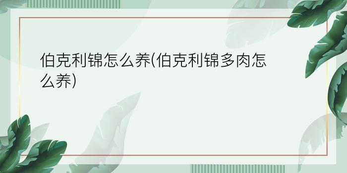 伯克利锦怎么养(伯克利锦多肉怎么养)